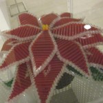poinsettia2